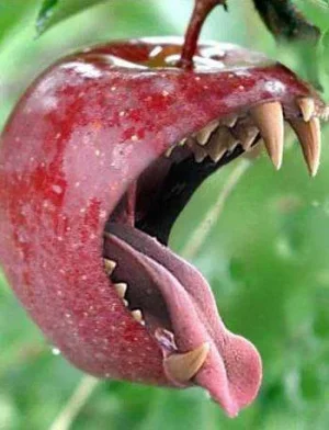 apple.webp