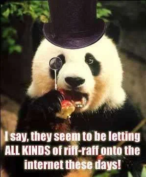 panda.webp