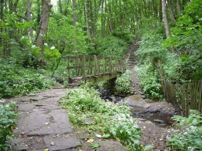 025 Fairy Glen and Sprodley Brook.webp 025 Fairy Glen and Sprodley Brook.webp