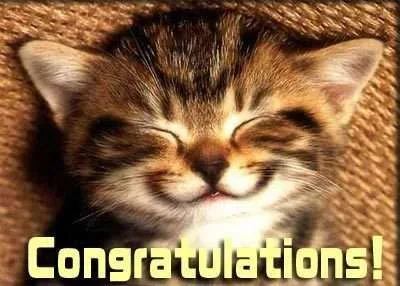 Congrats-Cat.webp