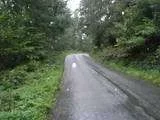 2495.webp