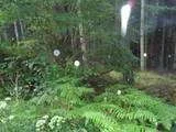 2496.webp