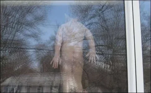 2552.webp