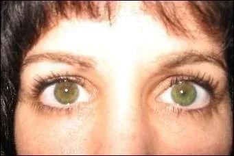 2553.webp