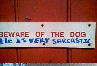 dog is sarcastic.webp