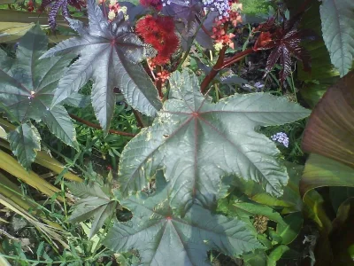 August2008 057.webp