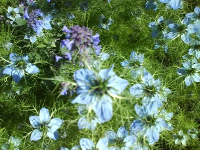 May2008 064.webp