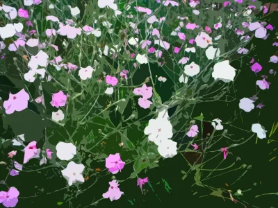 flowers3.webp