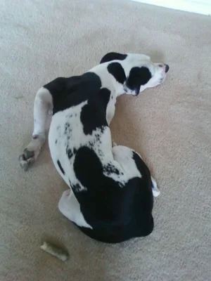 rickersleeping.webp
