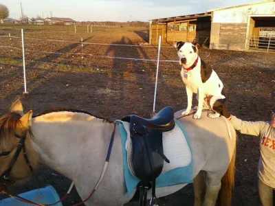 rickerriding.webp