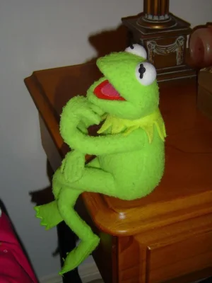 mykermit.webp