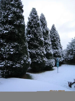 003.webp