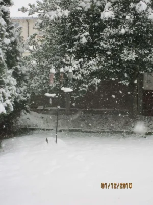 017.webp