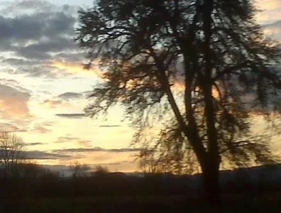 sunset4.webp sunset4.webp