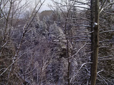 20 nov 2010 1ière neige [1].webp