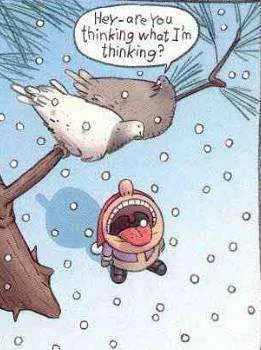 catchingsnowflakes.webp