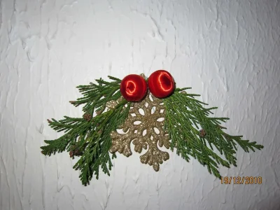 IMG_0029.webp