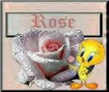 Tweety_picture_0535.webp Tweety_picture_0535.webp