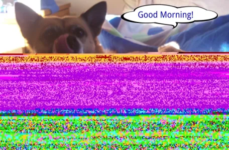 Good morning!.webp