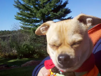 2012-09-25_10-55-25_215.webp
