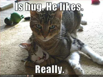 gives-hug.webp gives-hug.webp