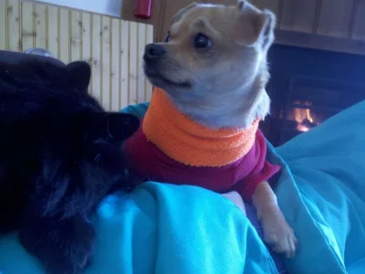 2011-12-24_11-50-01_394.webp