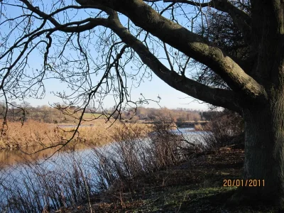 IMG_0014.webp IMG_0014.webp