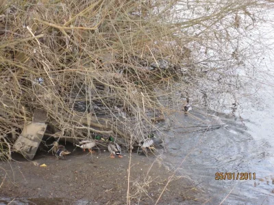 IMG_0020.webp IMG_0020.webp