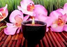 imagesCATHBRTG.webp