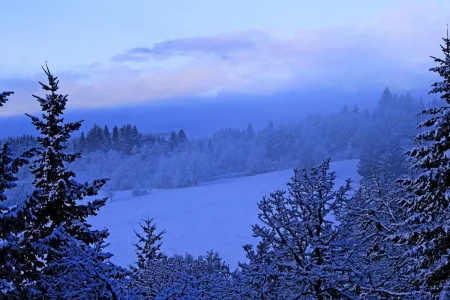 Snowy day watercolor-1.webp