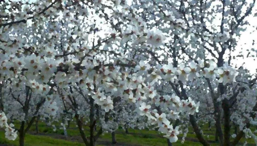 030311143623.webp