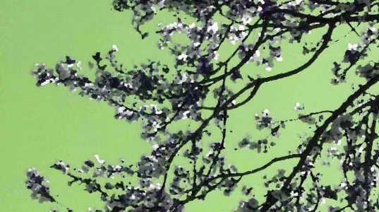 030311144546.webp