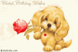 belated birthday.gif