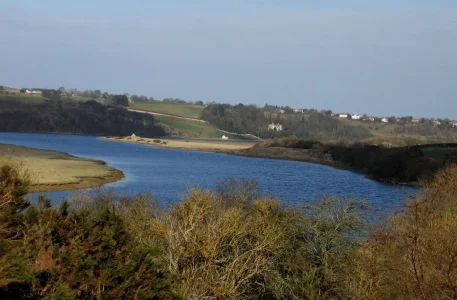 River Tweed near Berwick.webp