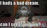 th_funny-pictures-scared-cat-bed-couch.webp
