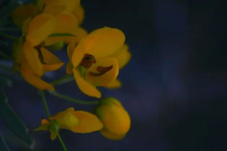 001edit.webp
