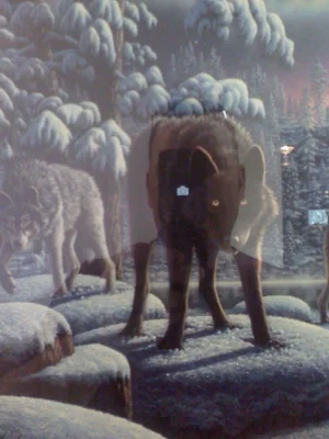 Old Cell 108.webp
