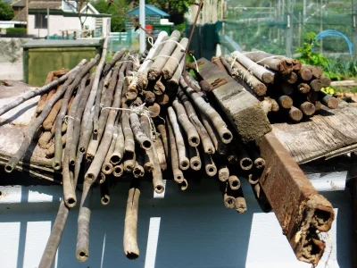 Bits 14 sticks.webp