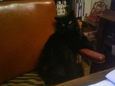 Photo 12.webp