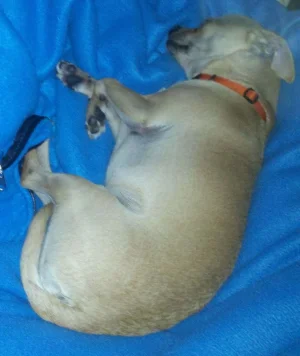110512snooze.webp 110512snooze.webp