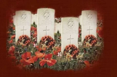 flanders_jpg.webp flanders_jpg.webp