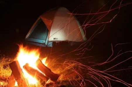 night winds.webp
