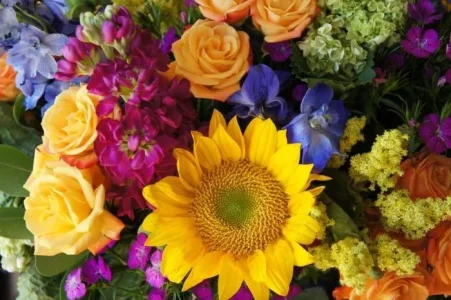 floral bo1.webp