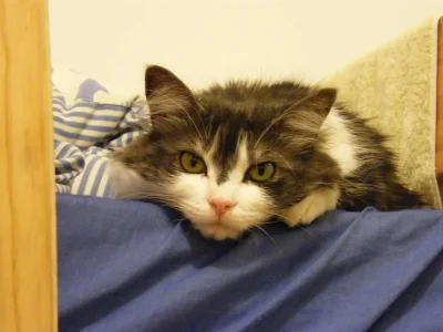 DSCF7558.webp