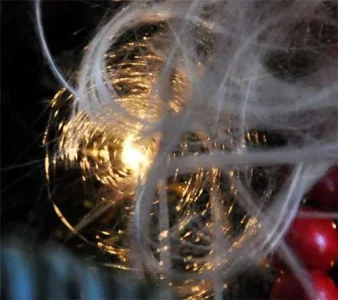 angel hair.webp
