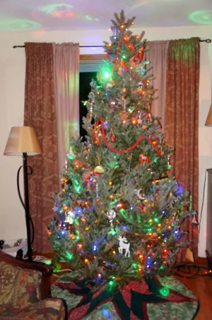 Tree1.webp Tree1.webp