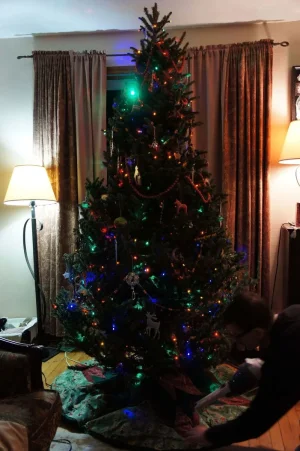 Tree2.webp Tree2.webp