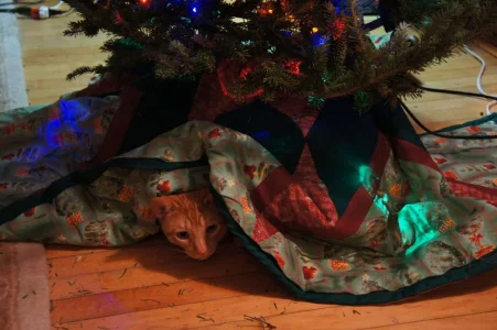 raidenchristmas.webp