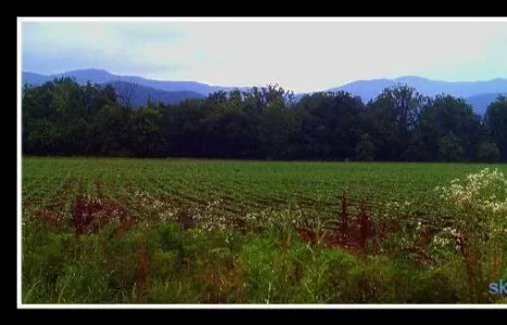 Blue Mountain Crop.webp