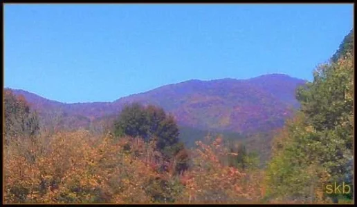 Peak on the Peaks.webp Peak on the Peaks.webp